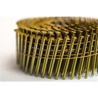 Clous en spirale lisses à pointe biseautée